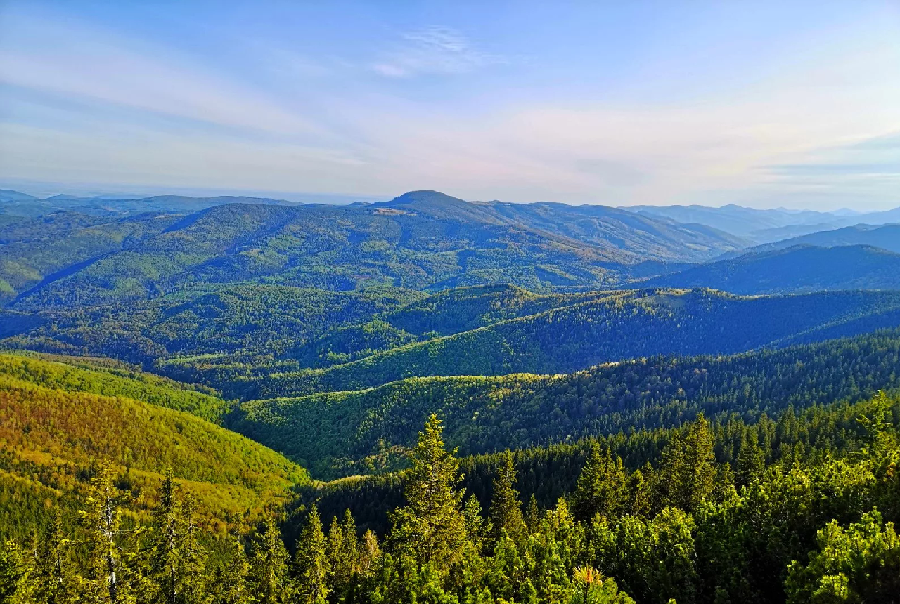 Карпатські гори вранці